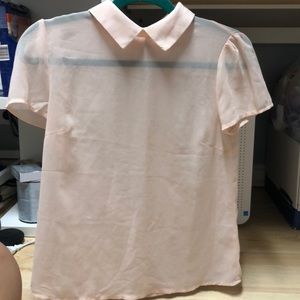 Sheer collared top